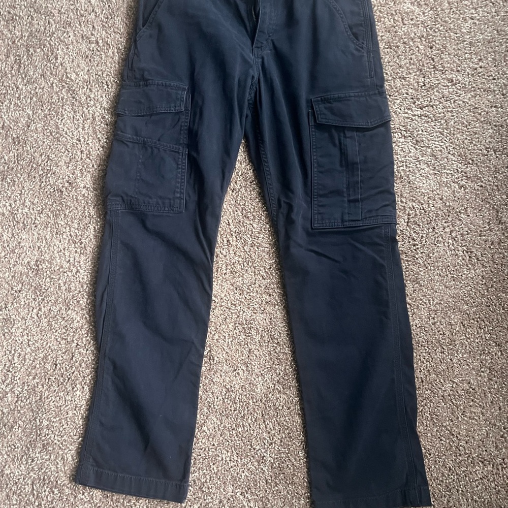 Carhartt Men's Dark Cargo Pants